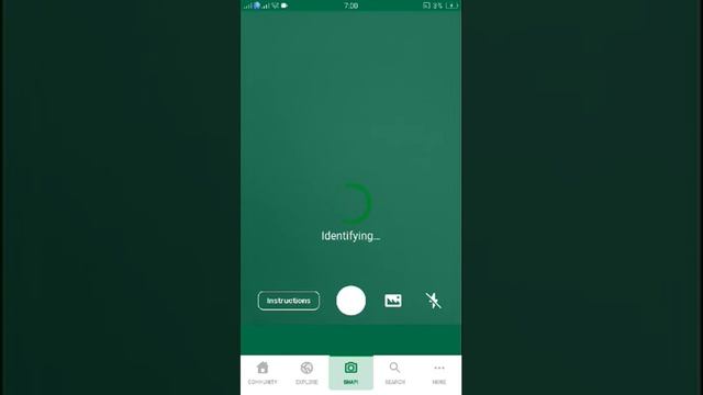 PlantSnap Identifies A Himalayan Blue Poppy (Meconopsis Betonicifolia)