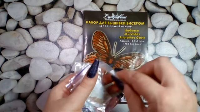 Бисерная Бабочка eurytides ariarathes gayi от Вдохновения смотреть онлайн