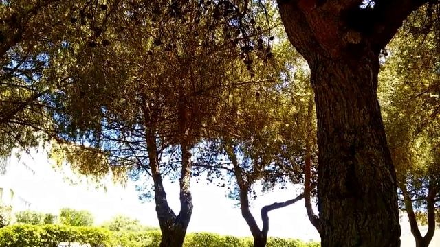 CAP D'AGDE (FRANCE) смотреть онлайн