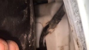 Skoda Fabia 2 1,2 Перестал брызгать омыватель и гудеть моторчик (часть 1)