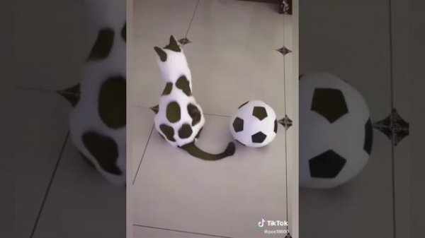 смешные видео с тиктока 12 часть:)