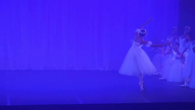 Chopiniana Waltz 11- Raquel Zoega смотреть онлайн