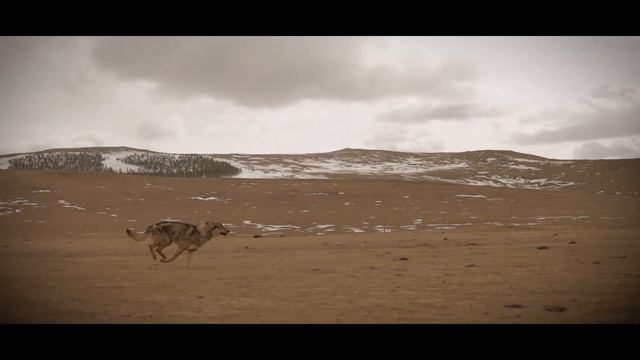 Андгай уран бүтээлийн үзэсгэлэн смотреть онлайн