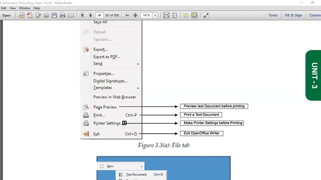 Grade XI Information Technology (802 Code) Unit 3 Part 1 смотреть онлайн