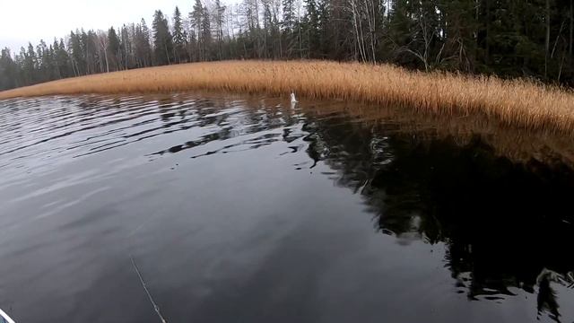 Рыбалка 2в1 (акция чёрной пятницы) смотреть онлайн