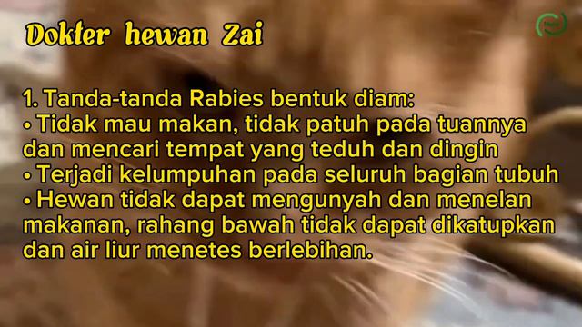WASPADA!!! PENYAKIT RABIES MENGINTAI NYAWA MANUSIA. TANDA DAN CARA PERLAKUANNYA? смотреть онлайн