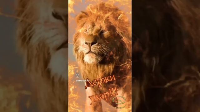 12 марта 2024 г.