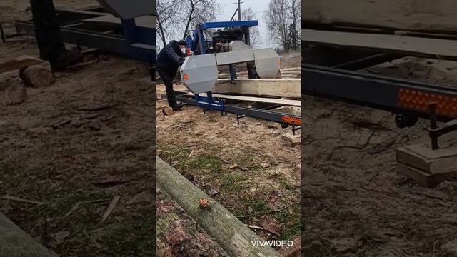 Мобильная пилорама. Распил сухостоя на обрезную доску. смотреть онлайн