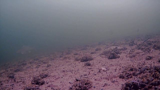 Рыбалка на реке Кама 19 марта 2022 г. смотреть онлайн