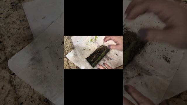 Программные свечи преобразования зависти, злости в деньги, благополучие. #свечисвоимируками #свечи смотреть онлайн