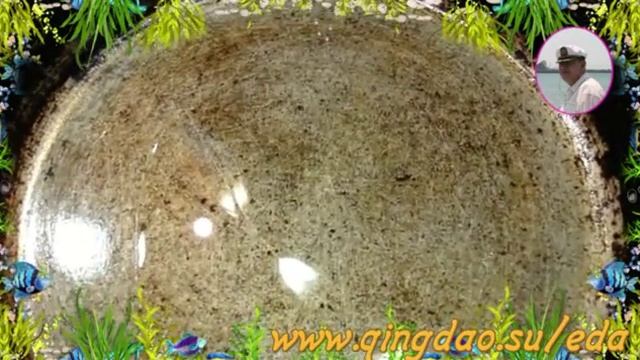 Веганские Ресторанчики и Кафе