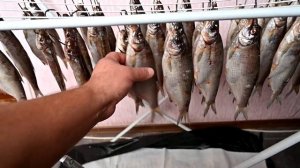 РЫБЕЦ ВЯЛЕНЫЙ. Выпуск №986