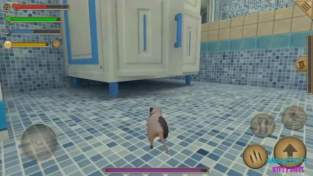 ?СИМУЛЯТОР МЫШИ?Мышонок против кота Ухаживаю за питомцем смотреть онлайн