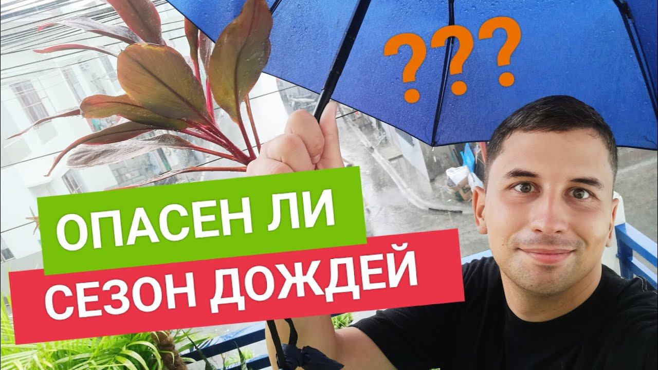 Как выглядит сезон дождей на Филиппинах? Опасно ли это? Чего ожидать? | Жизнь на Филиппинах смотреть онлайн