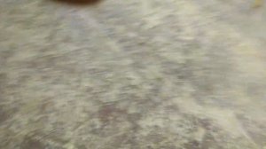 Самодельный мопед с двигателем от мотобура