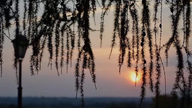 Молитва Оптинских старцев