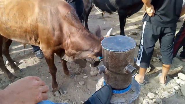 Молбозори пайшанбе