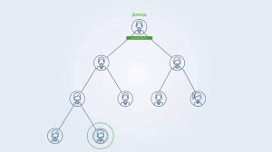 Greenleaf Узбекистан  Презентация компании Гринлиф