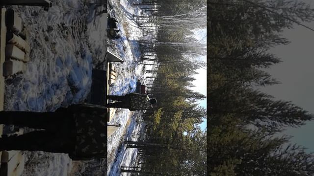 Тдт 55 'неудачная погрузка' смотреть онлайн