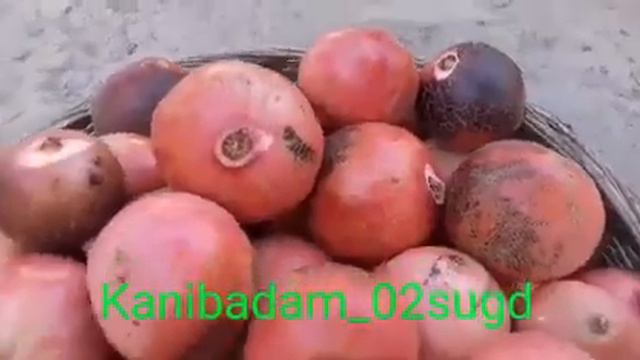 Конибодом Анор 2019 смотреть онлайн