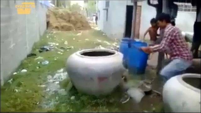 Неожиданные встречи с ДИКИМИ животными, снятые на видео! смотреть онлайн