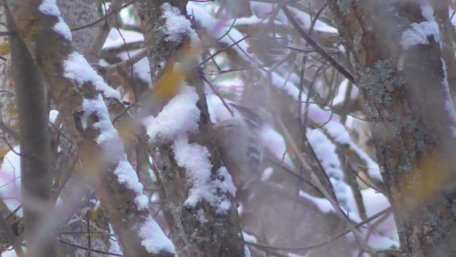 Вован и племянники. Рыбалка в глухозимье на Чепце. смотреть онлайн