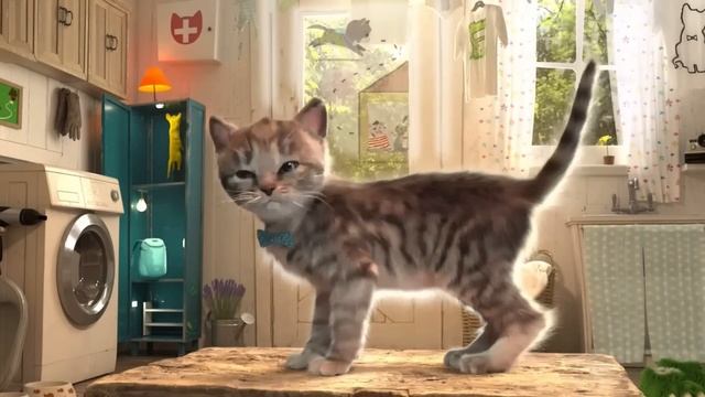 Cute Kitten Little Cat Adventure - Play Fun Pet Care - Preschool Educational Games #678 смотреть онлайн
