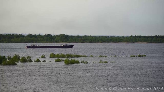 Теплоход Овощевоз САМУР-3 на Волге в Волгограде смотреть онлайн