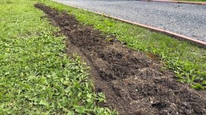 Сезон 2023. Закладываю живую изгородь из пузыреплодника