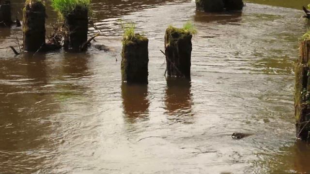 Бурлит река смотреть онлайн