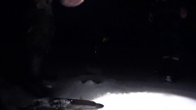 Ночная рыбалка на жерлицы. смотреть онлайн