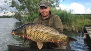 ТАКТИКА ЛОВЛИ  КАРПА НА БОЙЛЫ! Эксперимент с прикормкой.