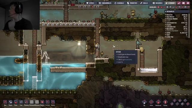 Direktesending fra Apemann i Apeland (Mongo Bongo) смотреть онлайн