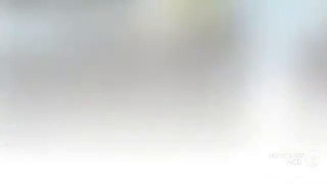 Ремонтный Чемпионат