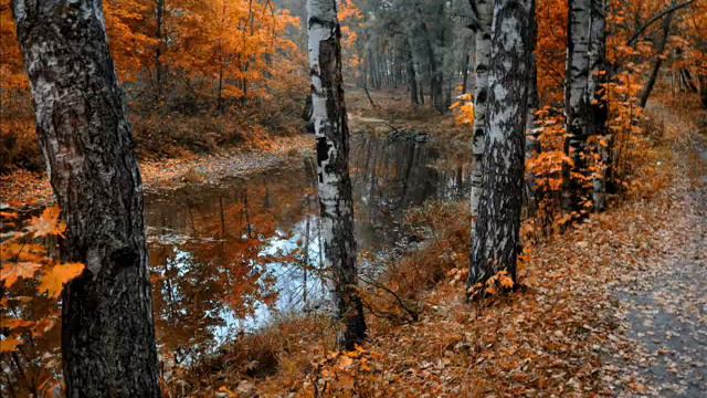 Женщина Осень!!! смотреть онлайн
