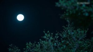 Первый луч 1 сезон 12 серия