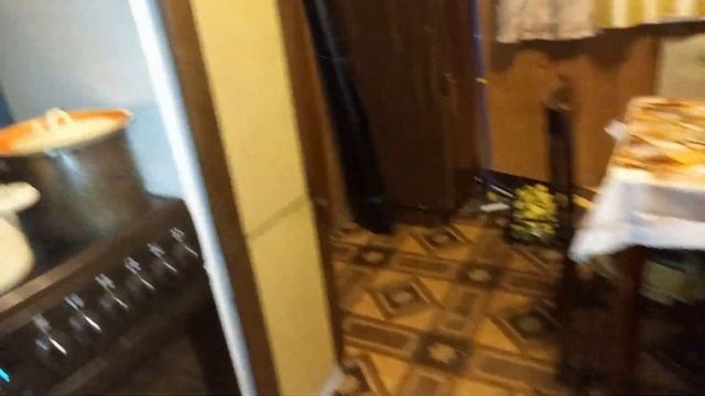 Вундермышь водит за нос смотреть онлайн