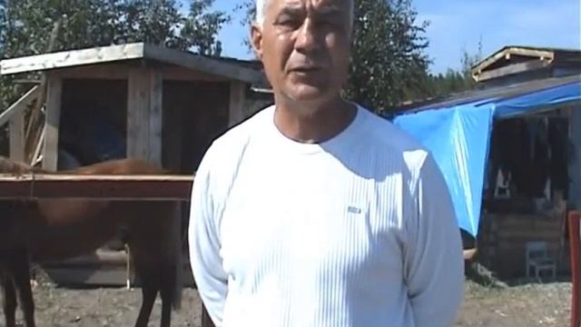 Метание ножей в Северобайкальске смотреть онлайн