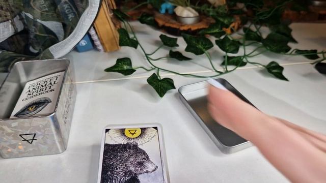 Flip through (pocket edition) - The Wild Unknown Animal Spirit Oracle Deck смотреть онлайн