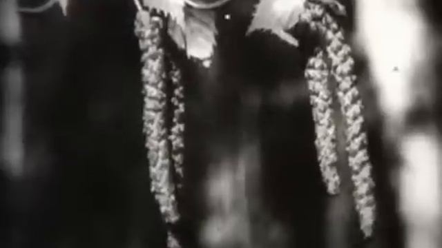 01.Опыление и оплодотворение цветковых растений.avi смотреть онлайн