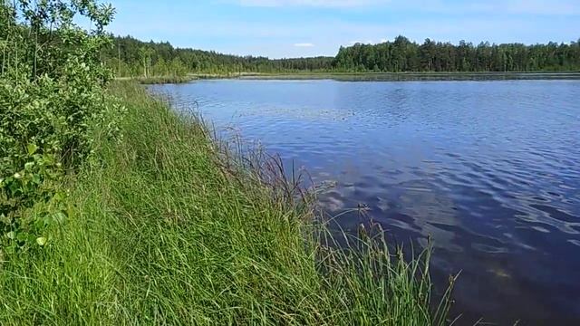 Медитация. Как и зачем. смотреть онлайн