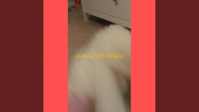 leafbert do taxes смотреть онлайн