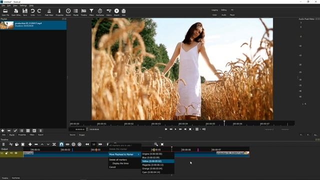 Keeping Your Timeline Organized By Adding Timeline Markers to Shotcut - What We've Been Waiting For смотреть онлайн