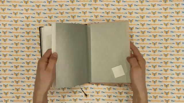 #Girlboss. Как я создала миллионный бизнес, не имея денег, офиса и высшего образования/София Аморус смотреть онлайн