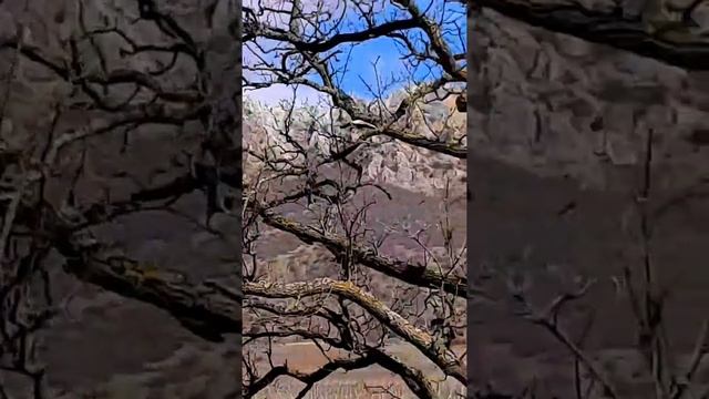 Крымский Иерусалим.  Храм Килиса Кая.