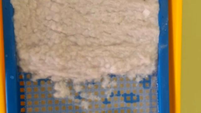 Исследовательская работа "Из чего можно сделать самим бумагу" Казанцева М.А. смотреть онлайн