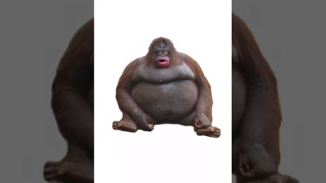 Uh oh stinky remix смотреть онлайн