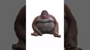 Uh oh stinky remix