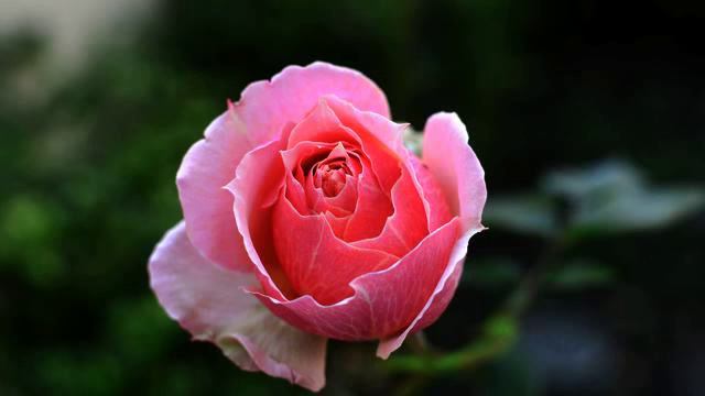 Лучшие русские новинки про любовь онлайн смотреть онлайн