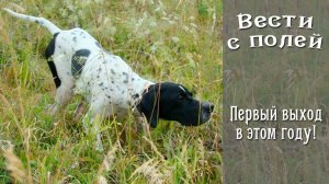 Первая натаска в этом сезоне.